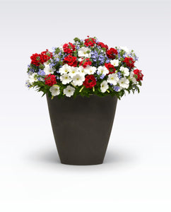 Hanging Basket Combo/ Heartland