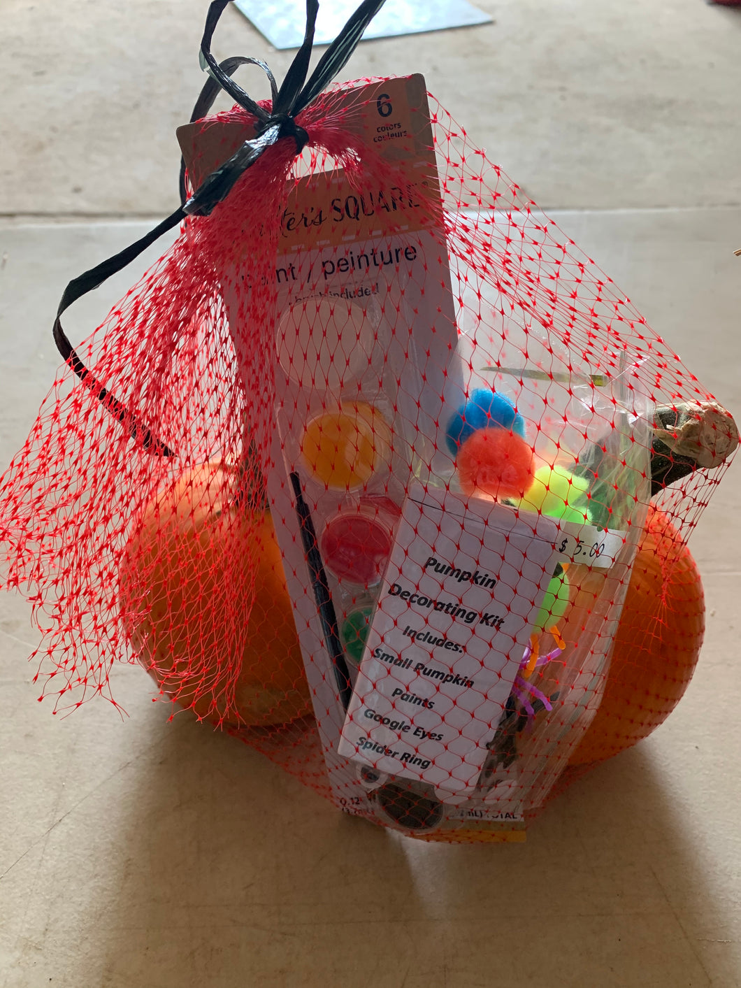 Pumpkin Painting Kit