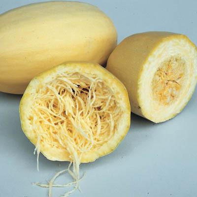 Spaghetti, Winter Squash