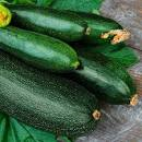 Squash, Zucchini